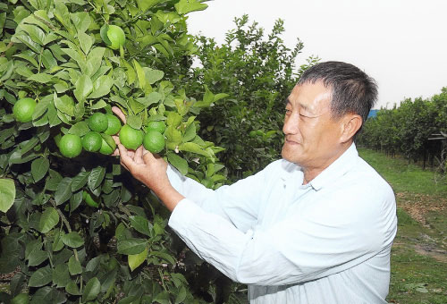 金園農民-產銷班長-葉慶祿